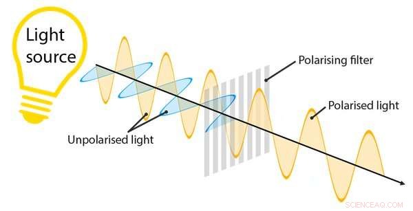 Revolutionizing Screens: How George Gray’s Liquid Crystal Discovery Transformed LCD Technology