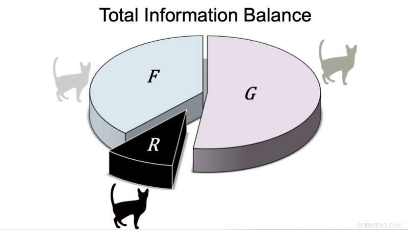 Quantum Measurement Study Redefines Key Information Metrics