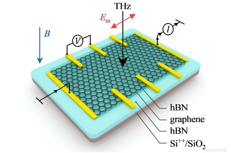 Groundbreaking Study Reveals Exceptional Light Absorption in Graphene