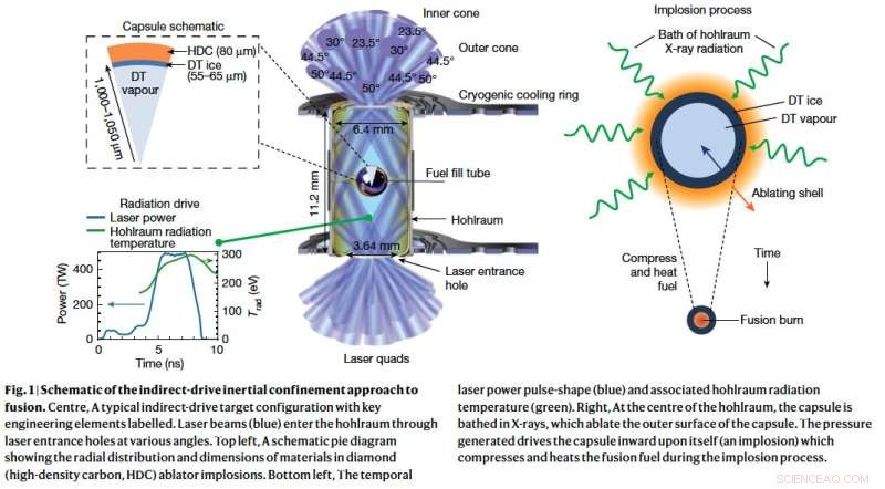 New Studies Reveal Self‑Heating Plasmas as a Promising Path to Fusion Energy