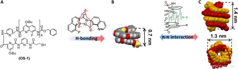 Tuning Plasmonic Nanogaps: Bridging Classical and Quantum Regimes