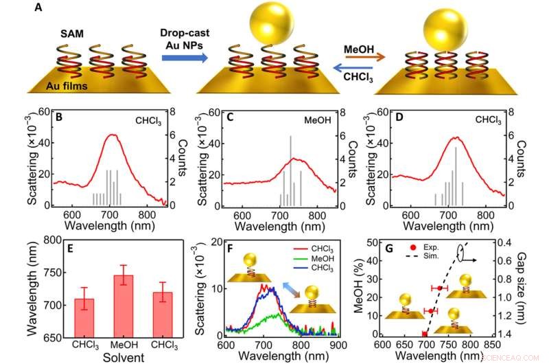 Tuning Plasmonic Nanogaps: Bridging Classical and Quantum Regimes