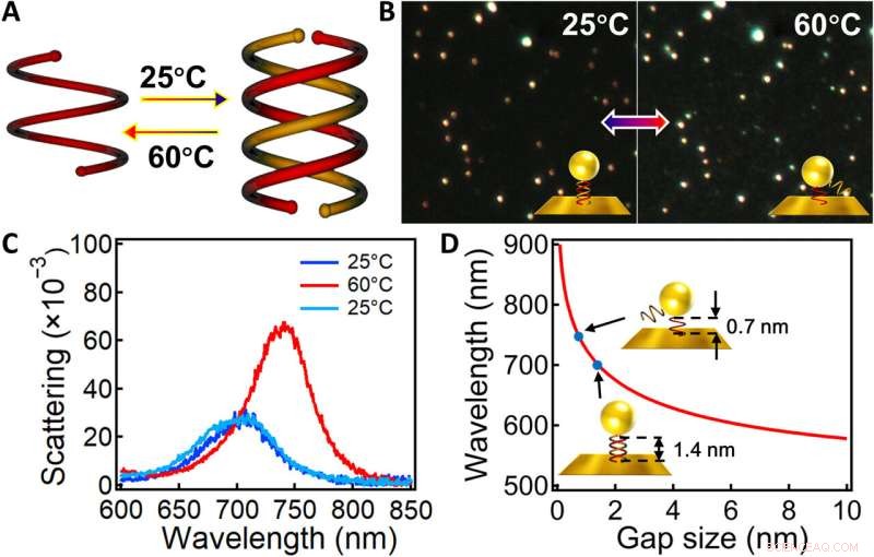 Tuning Plasmonic Nanogaps: Bridging Classical and Quantum Regimes