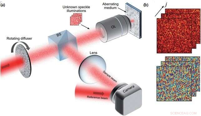 High-Throughput 3D Adaptive Optical Imaging Enabled by a Novel Compressed Time-Reversal Matrix Microscope
