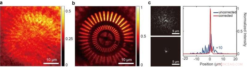 High-Throughput 3D Adaptive Optical Imaging Enabled by a Novel Compressed Time-Reversal Matrix Microscope