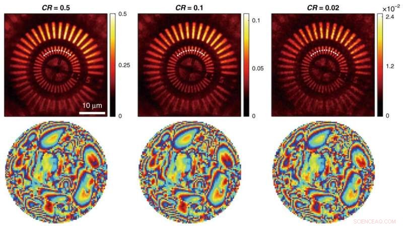 High-Throughput 3D Adaptive Optical Imaging Enabled by a Novel Compressed Time-Reversal Matrix Microscope