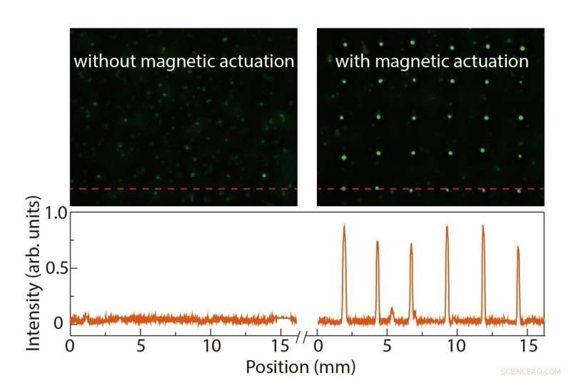 New Magnetic Method Enables Precise Micro‑Droplet Control on Ferrofluid‑Infused Surfaces