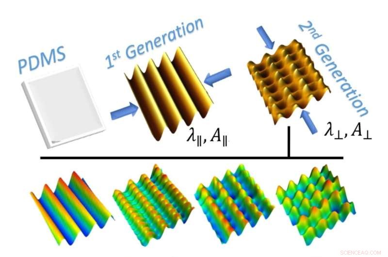 Engineers Develop Spiky Materials Inspired by Insect Wings to Neutralize Bacteria