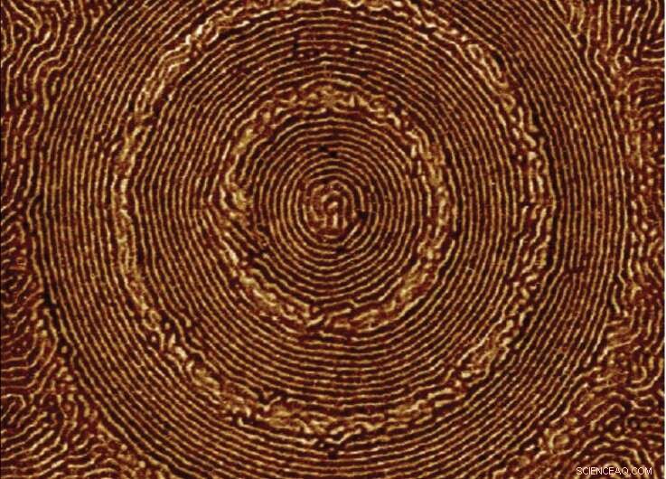 Berkeley Lab Engineers Self-Assembling Optical Material Using Organic and Inorganic Nanostructures