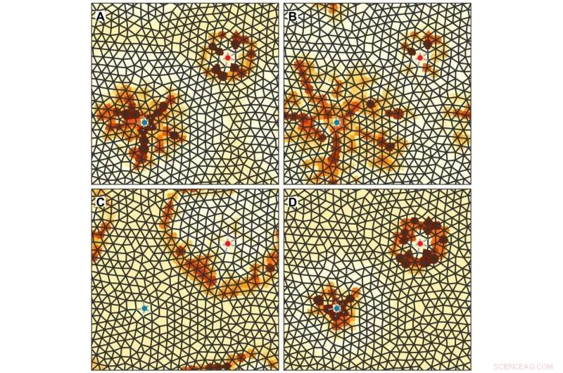 New Mathematical Model Illuminates Brain Blood Circulation