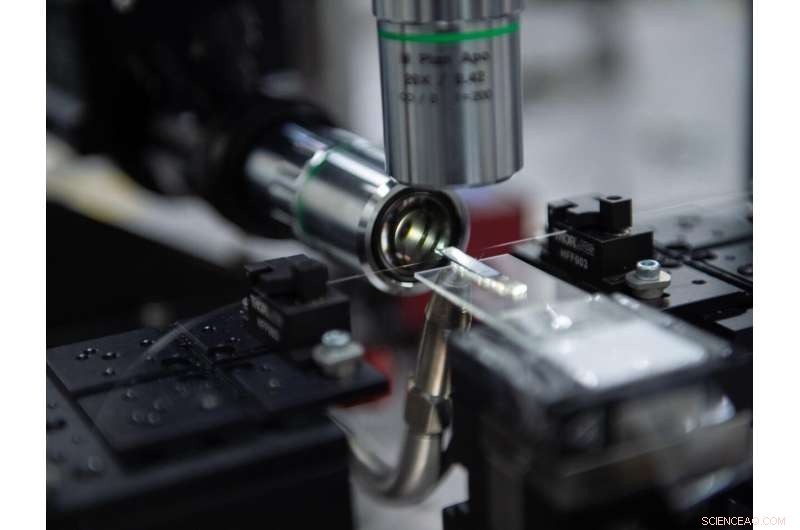 Scientists Engineer Exceptional Surface for Unprecedented Light Absorption in Exotic Physics