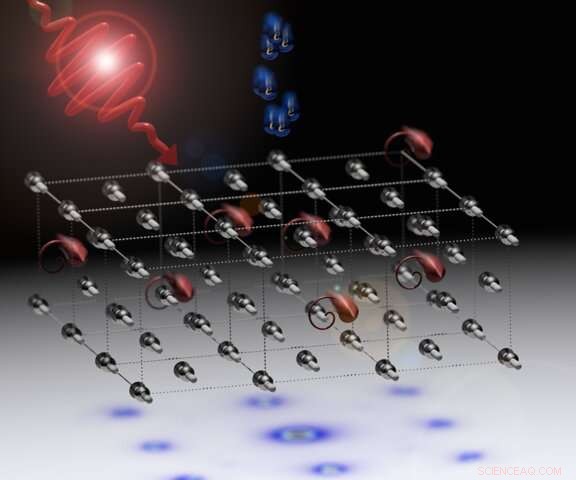 Unraveling the Mystery of Angular Momentum Loss in Ultrafast Demagnetization