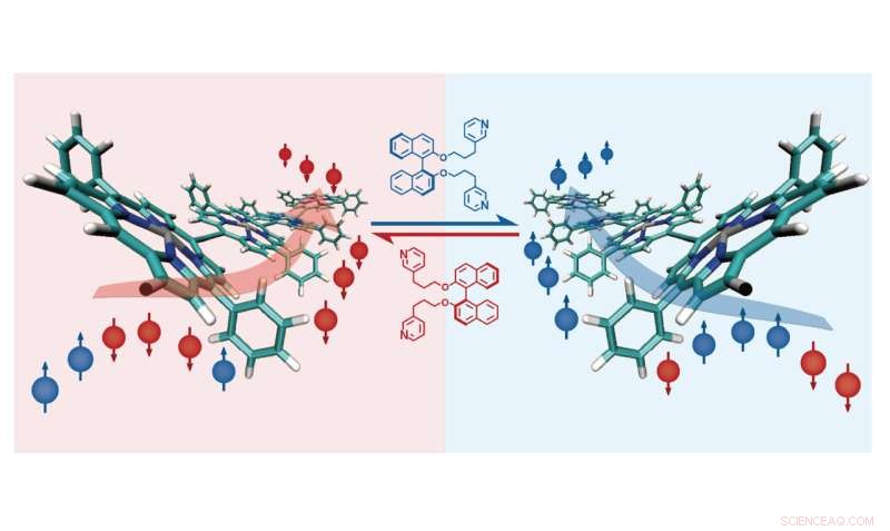 Revolutionizing Data Encoding with Electron Spin Technology