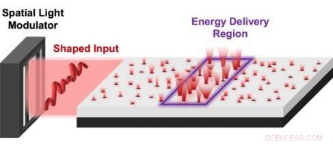 Precision Light Delivery Through Opaque Human Tissue and Complex Systems