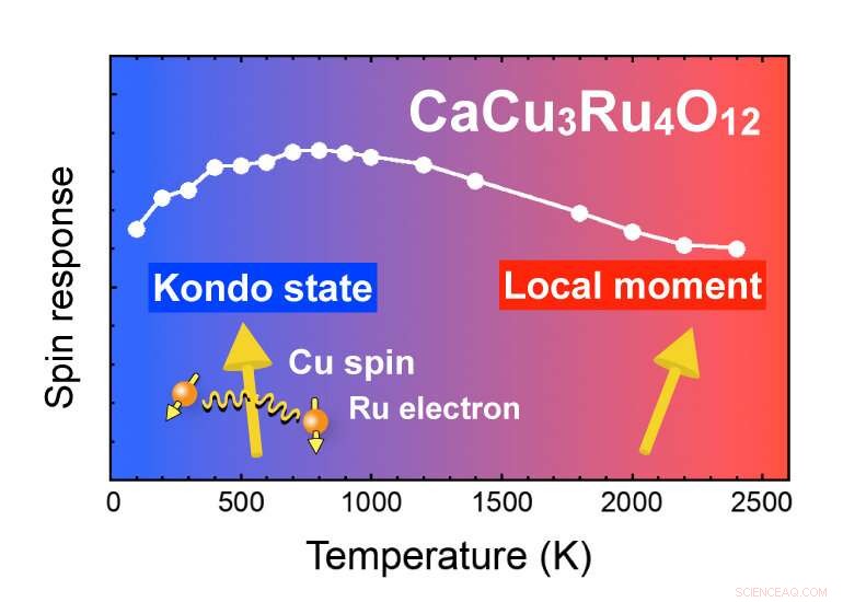 Kondo Effect Discovered in Transition Metal Oxide, Advancing Decade-Long Debate