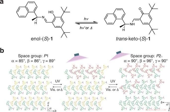 Chiral Crystal Demonstrates Superior Superelastic Photoactuation