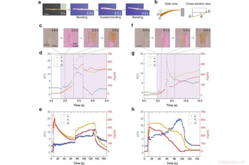 Chiral Crystal Demonstrates Superior Superelastic Photoactuation