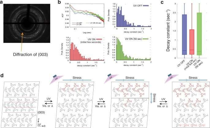Chiral Crystal Demonstrates Superior Superelastic Photoactuation