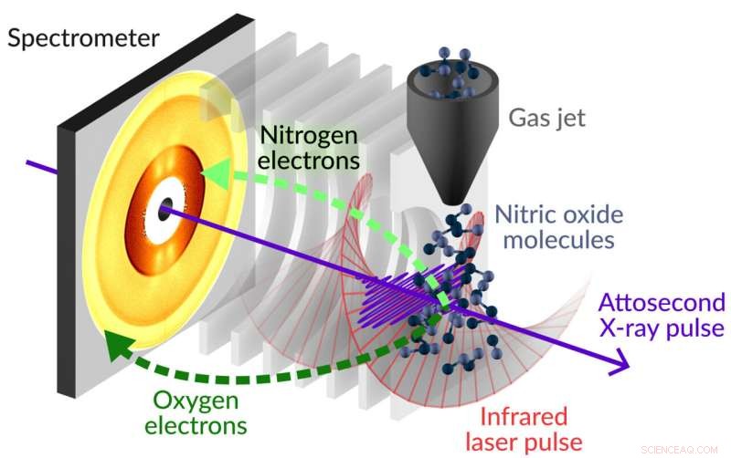Record-Breaking Ultrafast X-Ray Study Reveals Electron Dynamics in Nitrous Oxide