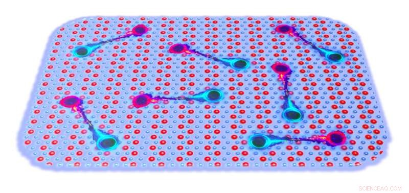 New Study Reveals Monolayer Tungsten Ditelluride as an Excitonic Insulator