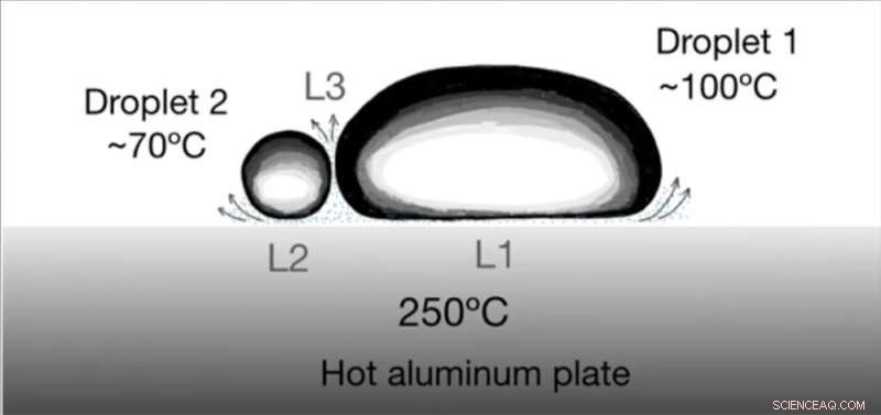 Levitating and Colliding Liquid Drops: Unveiling the Physics of the Leidenfrost Effect