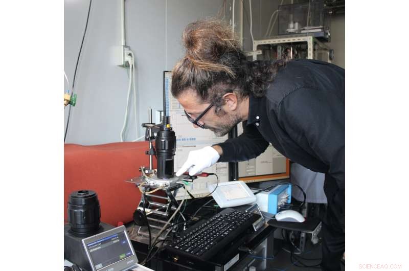 Harnessing Light to Enhance Fuel Cell and Lithium Battery Performance