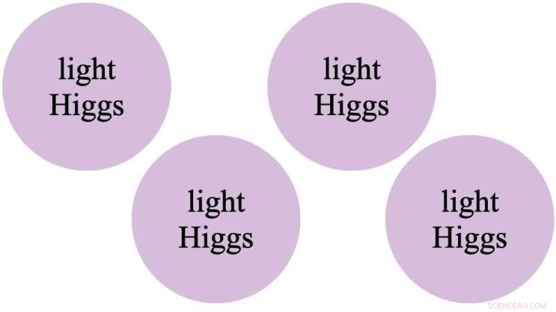 Dual Physics Insights: How a Multiverse Higgs Model Resolves Two Fundamental Puzzles