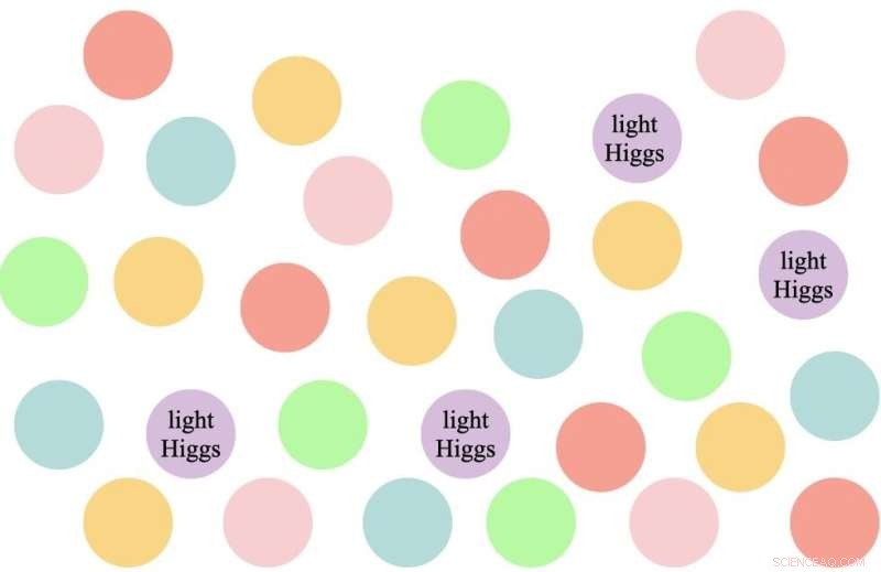 Dual Physics Insights: How a Multiverse Higgs Model Resolves Two Fundamental Puzzles