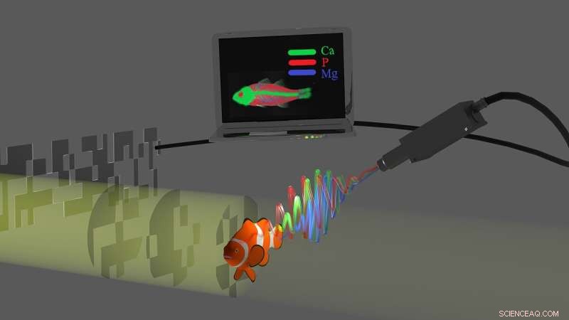 Ghost Imaging Accelerates X‑ray Fluorescence Mapping of Chemical Elements