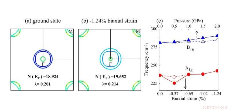 New Study Reveals Pressure-Driven Factors Influencing Electron‑Phonon Coupling in FeSe Superconductor