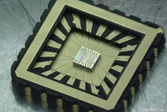 Compact Near‑Infrared Sensor Reveals Hidden Details for Industry and Agriculture