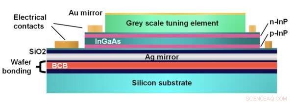 Compact Near‑Infrared Sensor Reveals Hidden Details for Industry and Agriculture