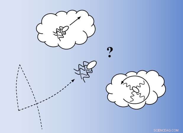 E. coli Navigate Chemical Gradients with Near‑Optimal Efficiency Despite Uncertainty