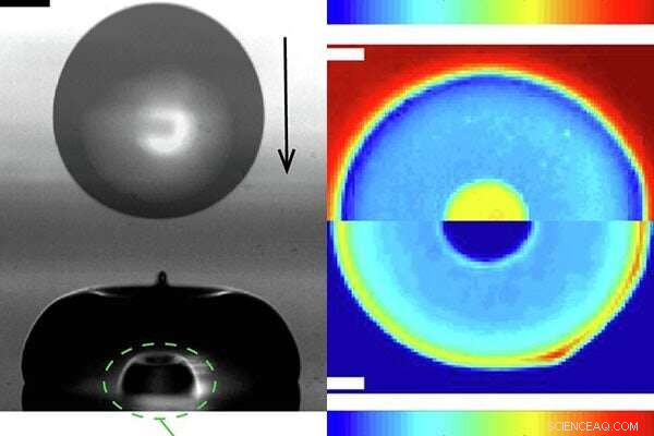Heat Conduction Dominates Droplet Dynamics on Windshields