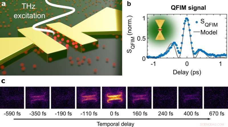Ultrafast Terahertz Waveform Imaging with Quantum Dot Near‑Field Microscopy