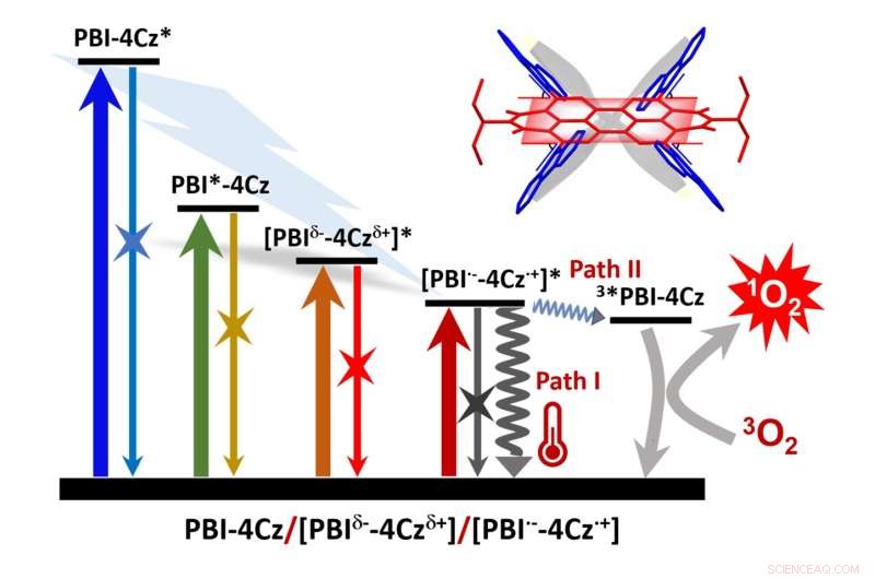 A Versatile Photoconversion Photosensitizer: Tailored Excitation & Relaxation Pathways