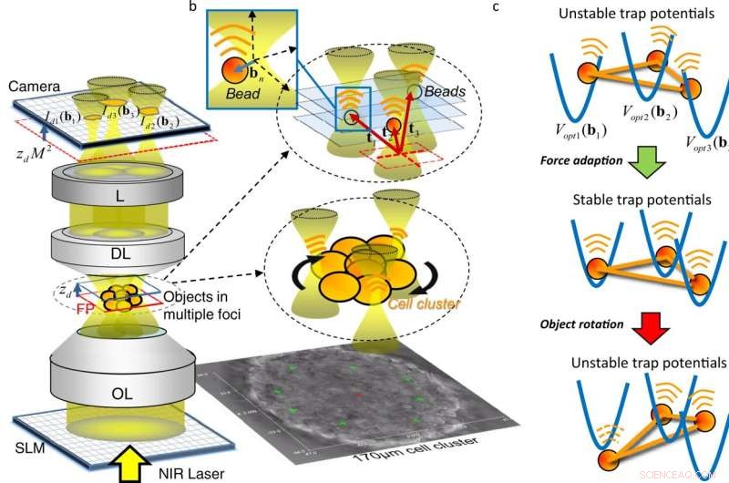 Researchers Unveil Feedback‑Controlled Optical Tweezers for Precision Manipulation