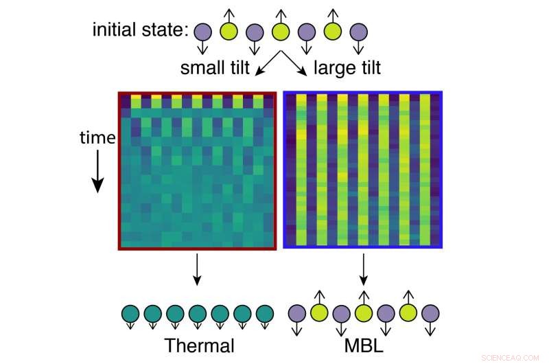 Trapped-Ion Technique Thwarts Quantum Equilibrium, Preserving Initial Spin States