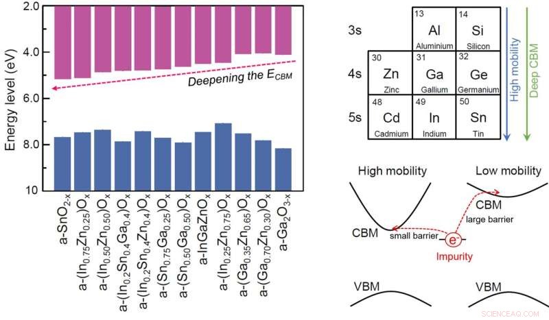Factors Influencing the Sensitivity of Amorphous Oxide Semiconductors to External Impurities