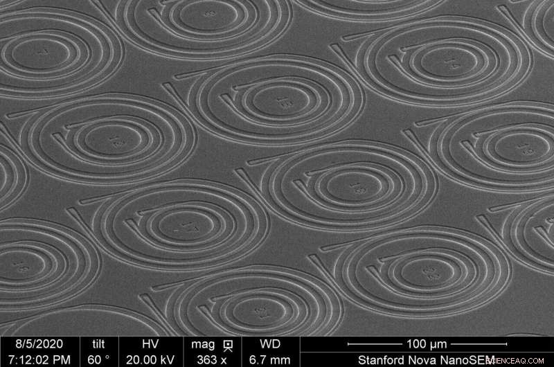 Quantum Insights into Light Frequency Combs
