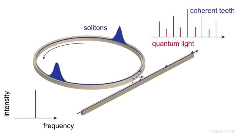Quantum Insights into Light Frequency Combs