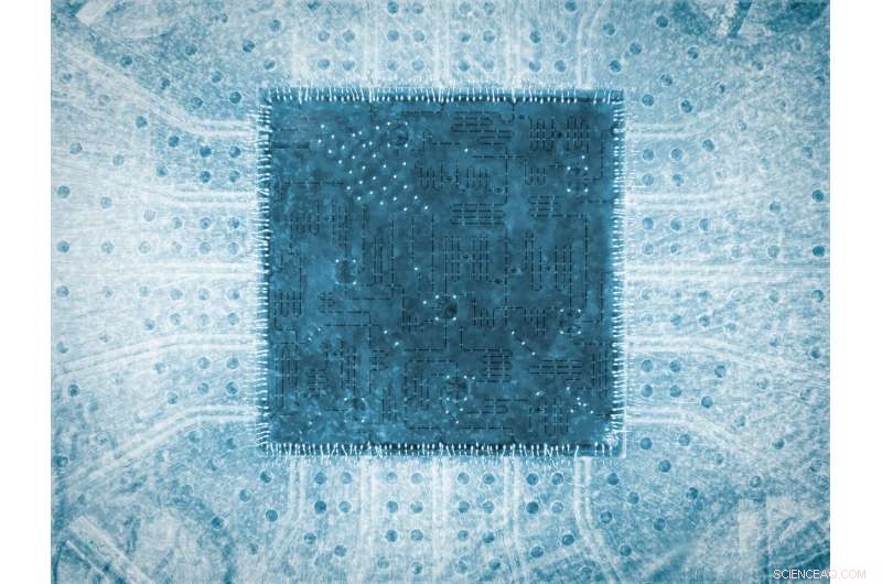 QuTech Researchers Achieve Milestone in Scalable Quantum Error Correction