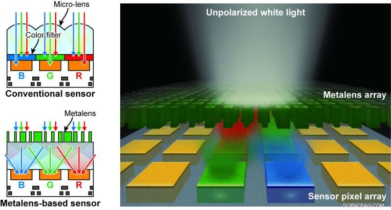 Color-Sorting Metalenses Boost Imaging Sensitivity