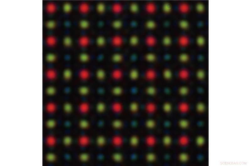 Color-Sorting Metalenses Boost Imaging Sensitivity
