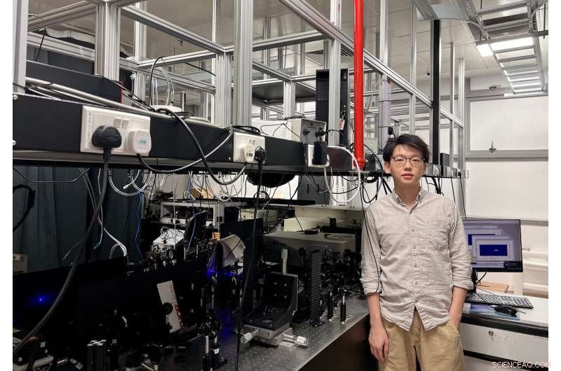 Engineering Topological States via Losses in Hybrid Light-Matter Particles