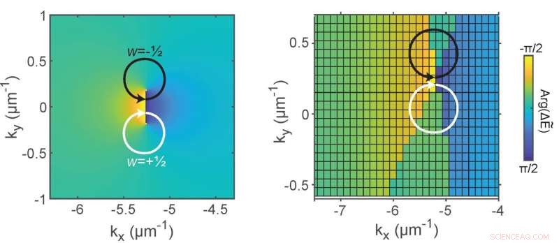 Engineering Topological States via Losses in Hybrid Light-Matter Particles