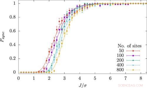 Physicists Reveal the Science Behind Synchronization—from Fireflies to Stadium Cheers