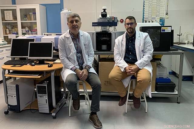 Advanced Organic Electronics: Driving Efficient Energy Management