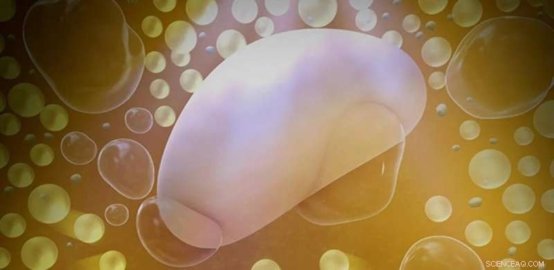 Yeast-Generated Bubbles Lift Buried Objects: The Microbial Brazil Nut Effect Explained