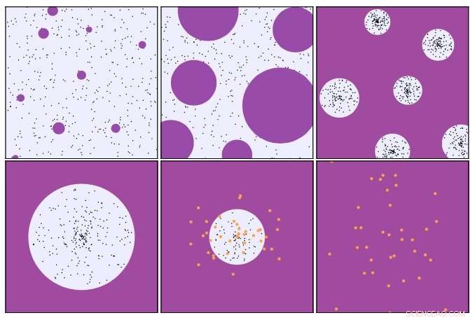 QCD Simulations Uncover Phase Transitions in a Confining Dark Sector